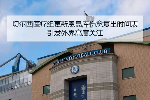 切尔西医疗组更新恩昆库伤愈复出时间表引发外界高度关注